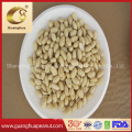 New Crop Peanut Kernels with High Protein